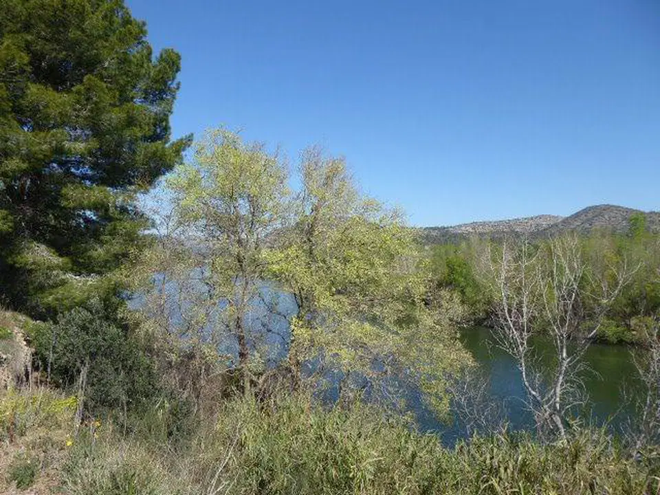 Country house in Asco, Tarragona province photo 4