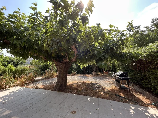 13 Minutes from Carcassonne, 148 m² Detached House with Garage and Garden photo 4