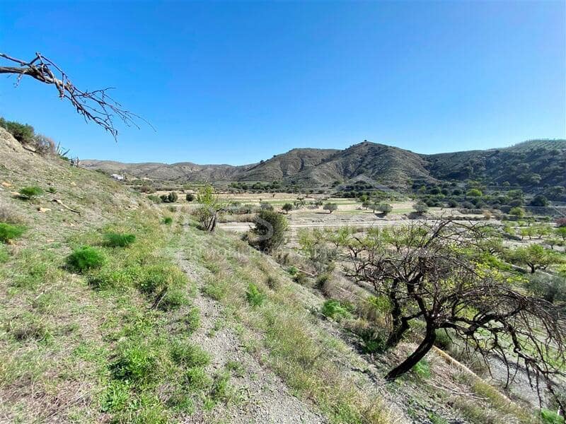 Finca/Country House for sale in Taberno, Almería photo 3