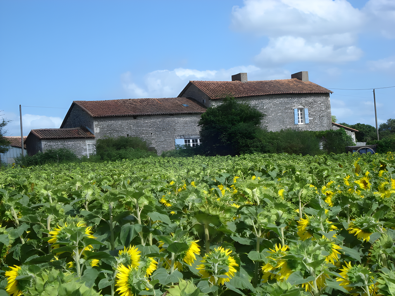 Charming Stone Property with Tower, Character and Development Potential Near Champagne-Mouton