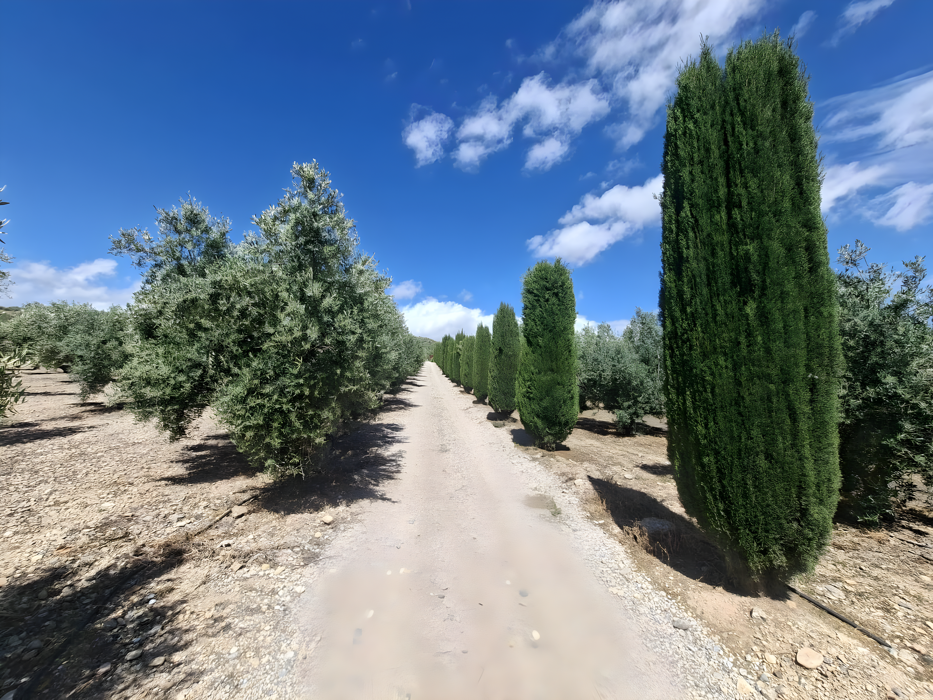 Mobile Home for sale in Freila, Granada photo 4