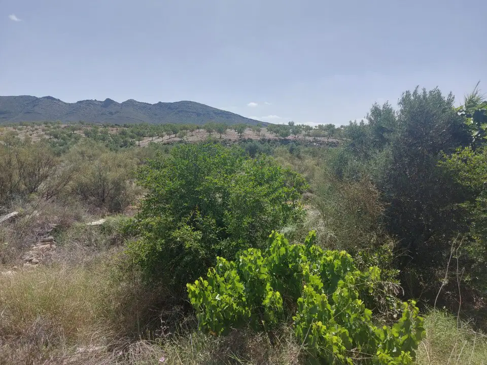 Cortijos Almeria photo 5