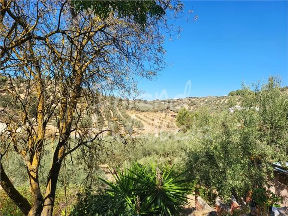 Inland Andalucia photo 5