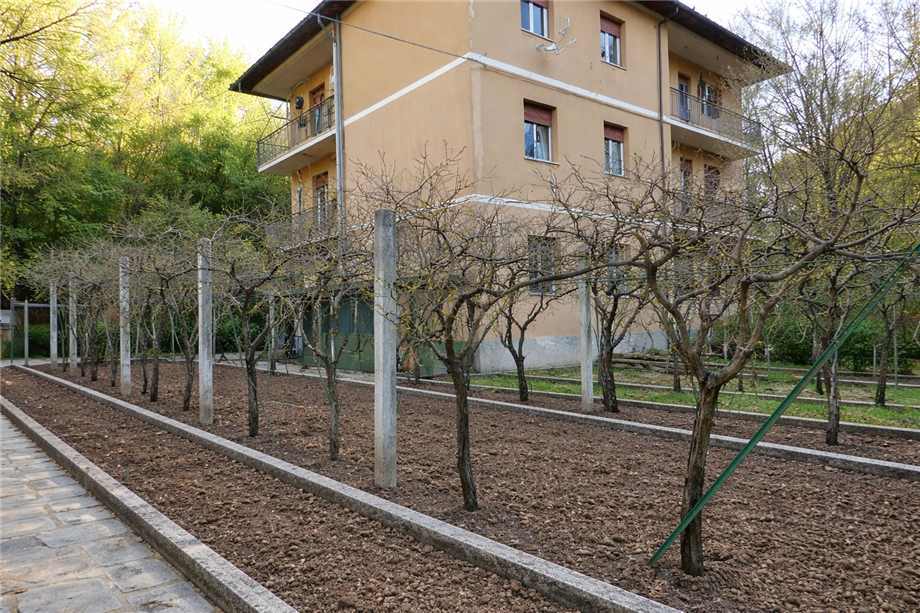 Property in Valbrevenna photo 2