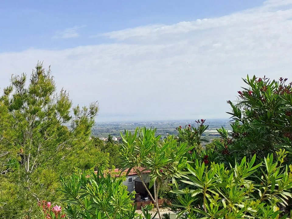 Holiday Homes Catral photo 5