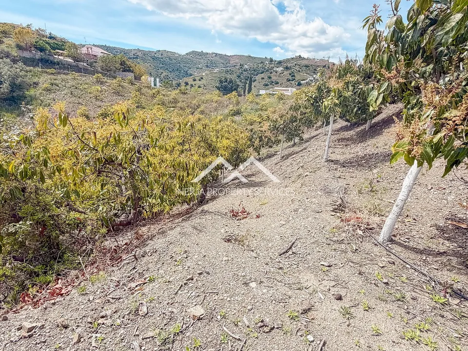 Nerja Property Services photo 5