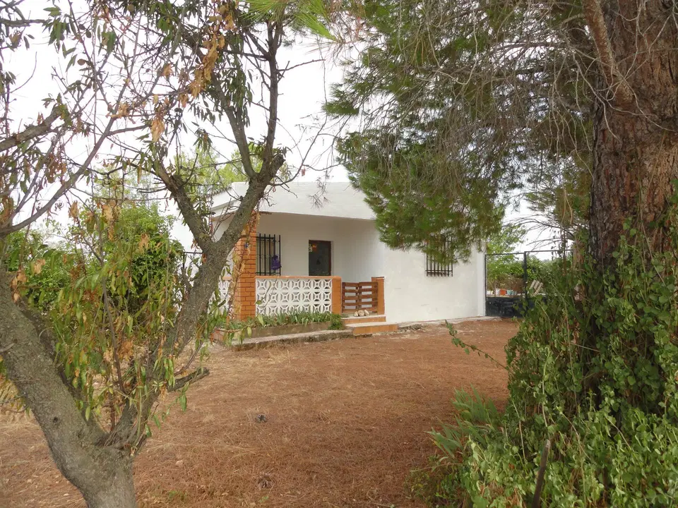 Aco Inmobiliaria