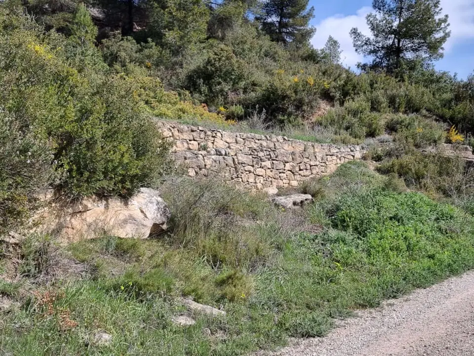 Catalancasas photo 3