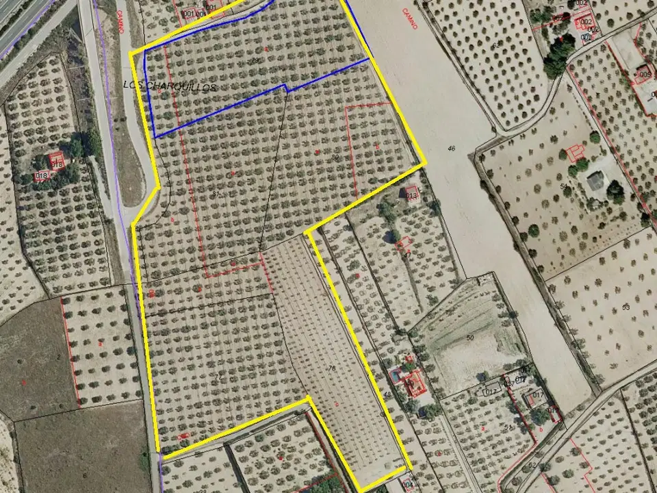 Alicante Dream Property 