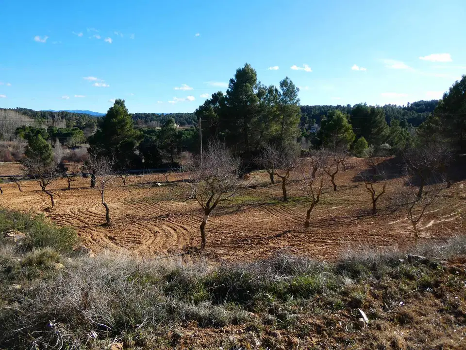 Finca in Mazaleon, Teruel province photo 2