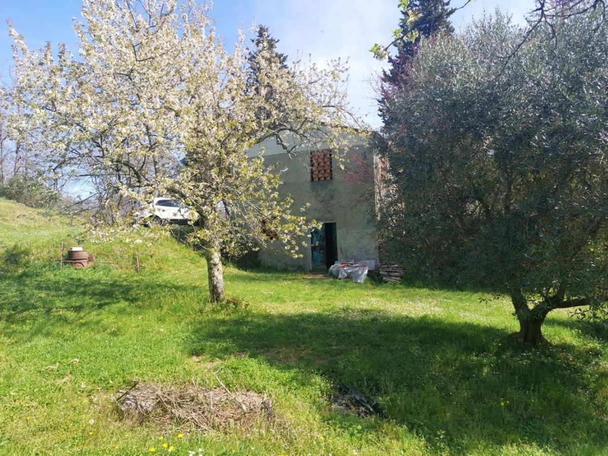 3 bedrooms farmhouse, 280 m² Borgo a Mozzano, Lucca (province) photo 3