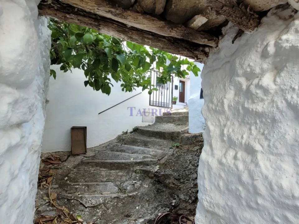 Taurus Real Estate photo 3