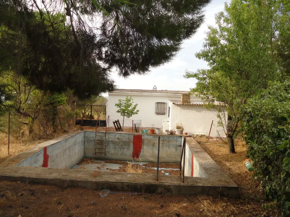 Aco Inmobiliaria photo 3
