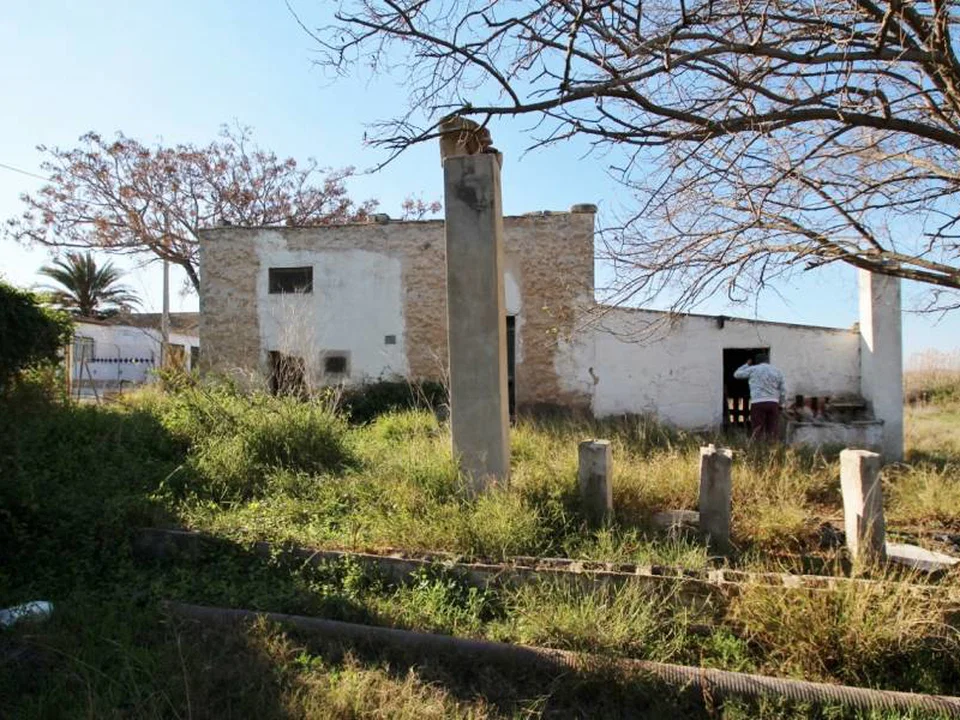 Country house in Elche, Alicante province photo 3