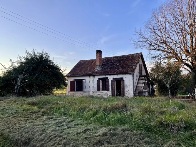 Renovation Project with Land