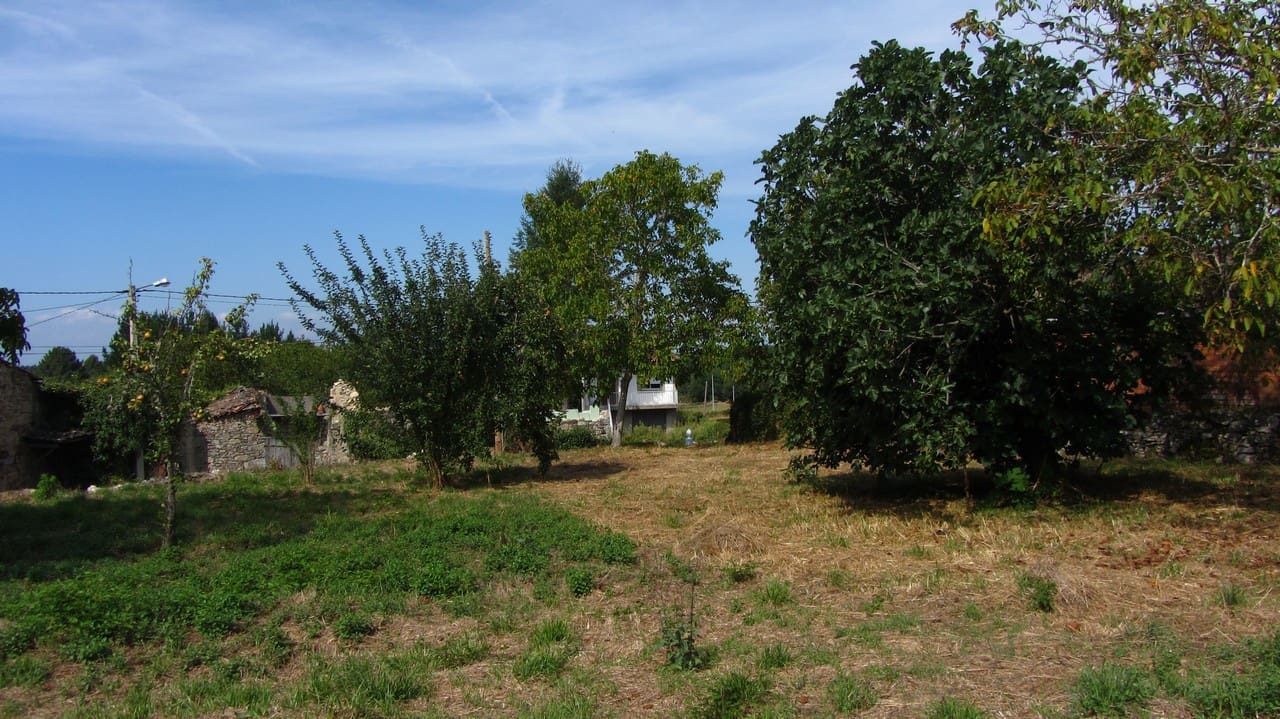 Finca/Country House for sale in Sober, Lugo photo 3