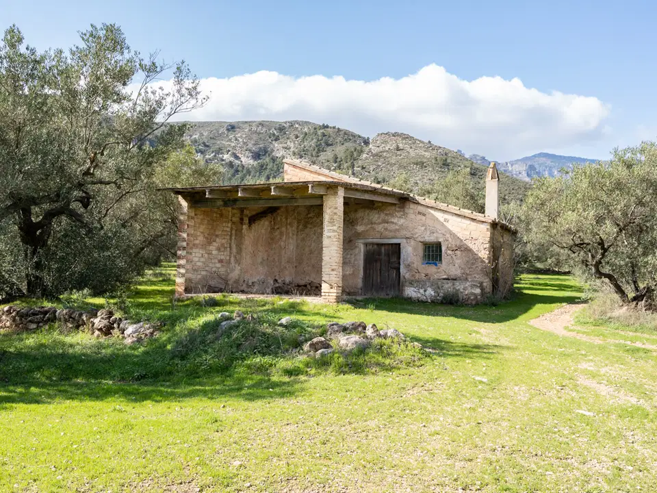 MAS CATALAN RURAL PROPERTIES S.L.U. photo 2