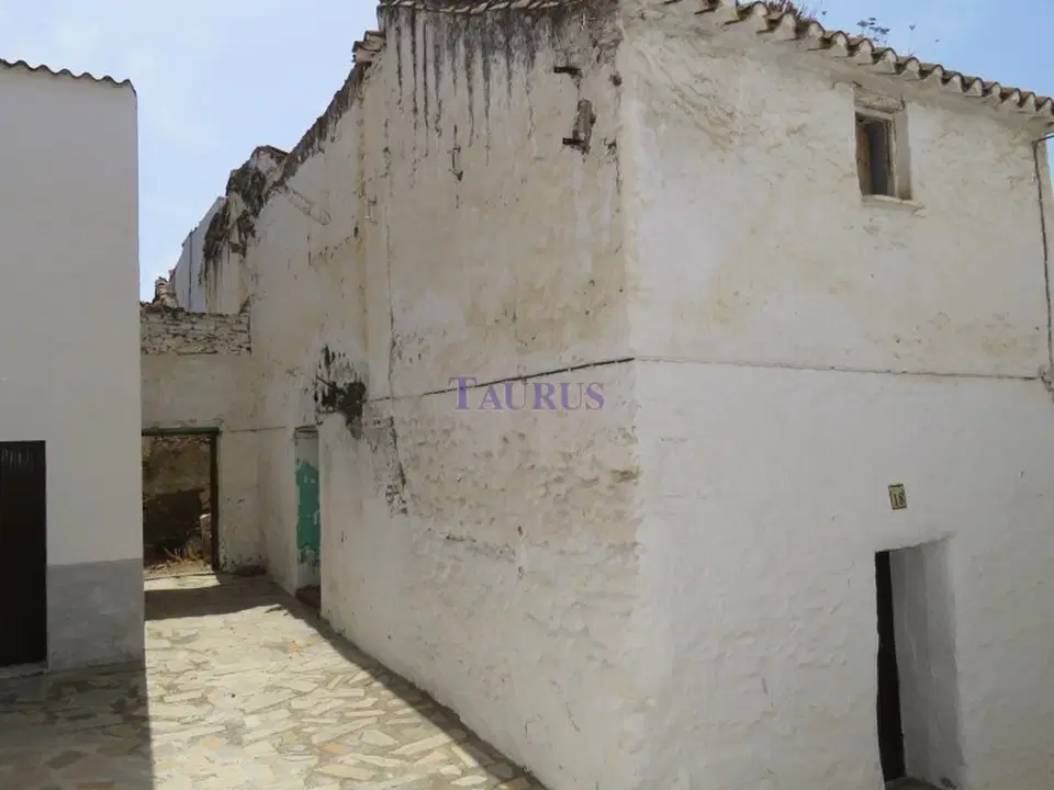 Taurus Real Estate
