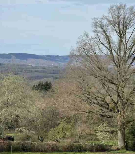 Detached Stone and Tiled Farmhouse Property( 87 sqm), Situated in a Rural Spot in a Peaceful photo 3