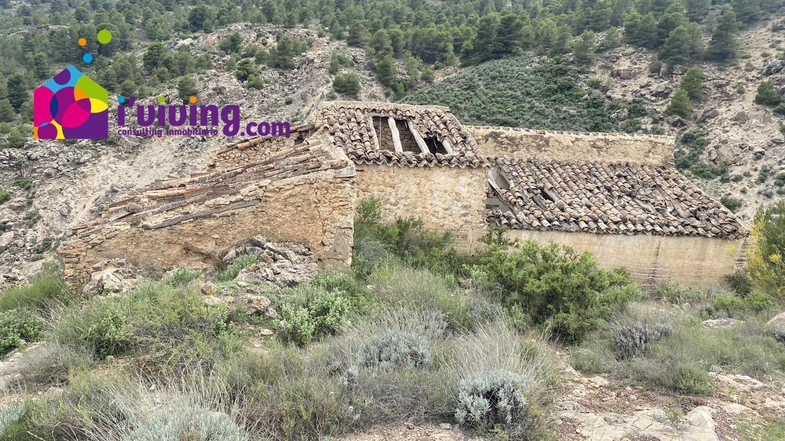 Finca/Country House for sale in Albox, Almería photo 4