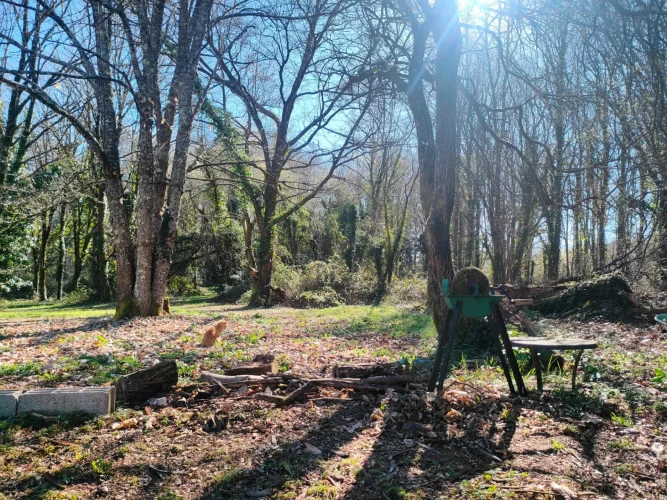 Charming 2-Bed Stone Village House with 8,500 m² Garden, Oradour-Sur-Vayres photo 4