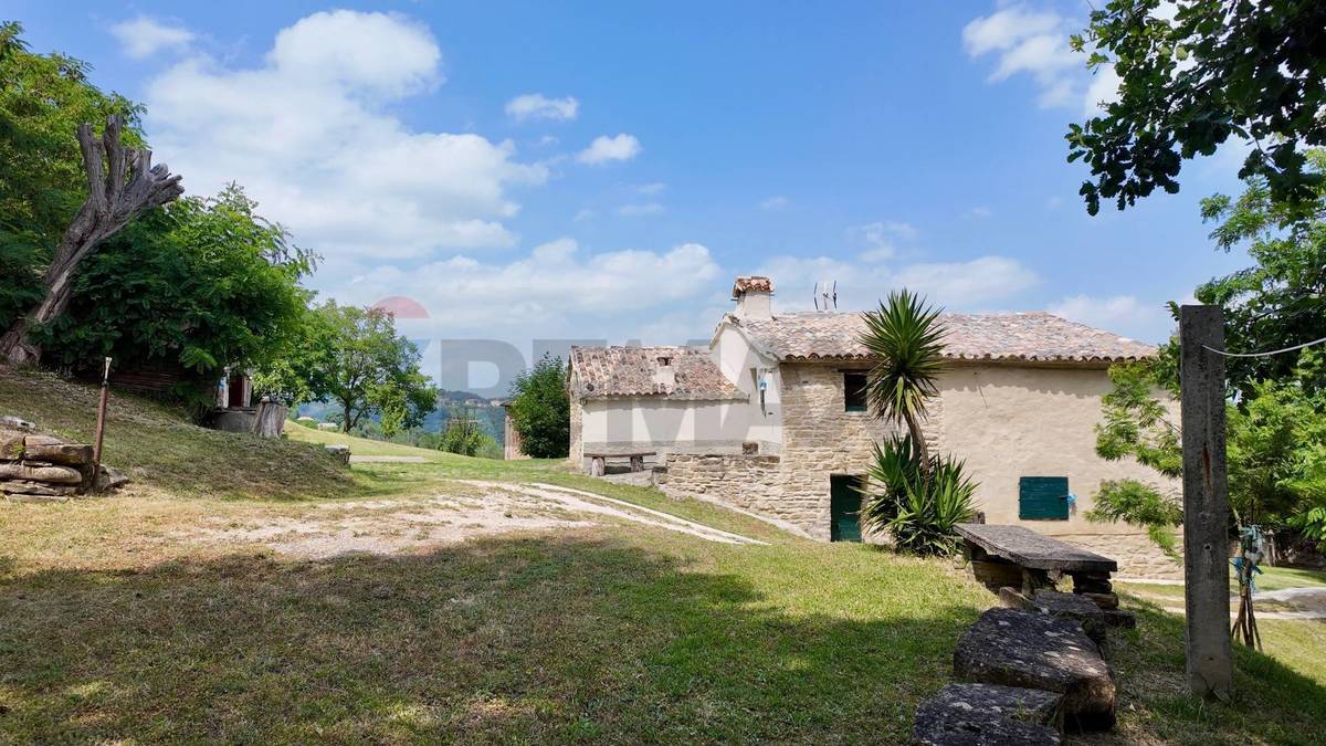 3 bedrooms detached house, 130 m² Serra San Quirico, Ancona (province) photo 3
