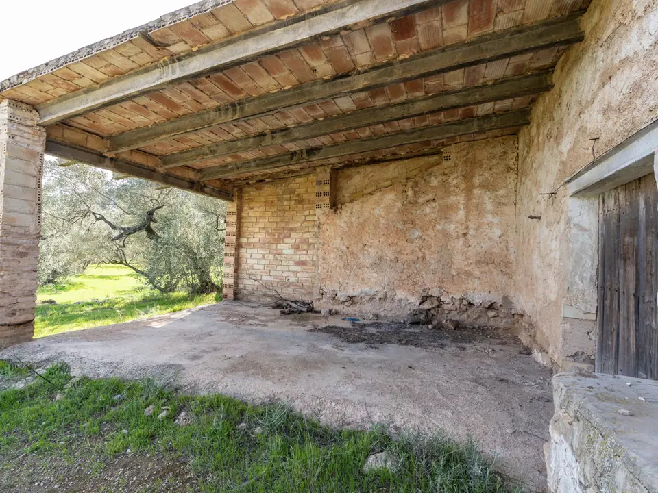 MAS CATALAN RURAL PROPERTIES S.L.U. photo 5