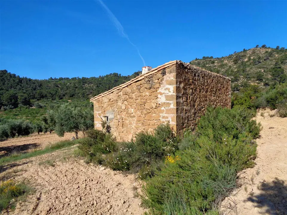 Finca in Maella, Zaragoza province photo 4