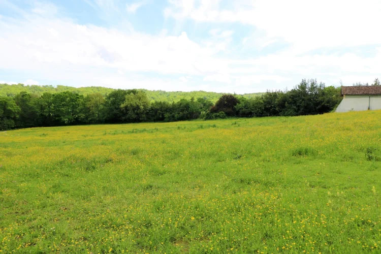 Renovated House with Equestrian Facilities, in a Rural Setting, Outbuildings and 8,327 m² of Land photo 2