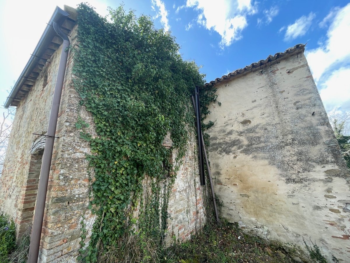 8 bedrooms hamlet, 500 m² Sant'Angelo in Pontano, Macerata (province) photo 4