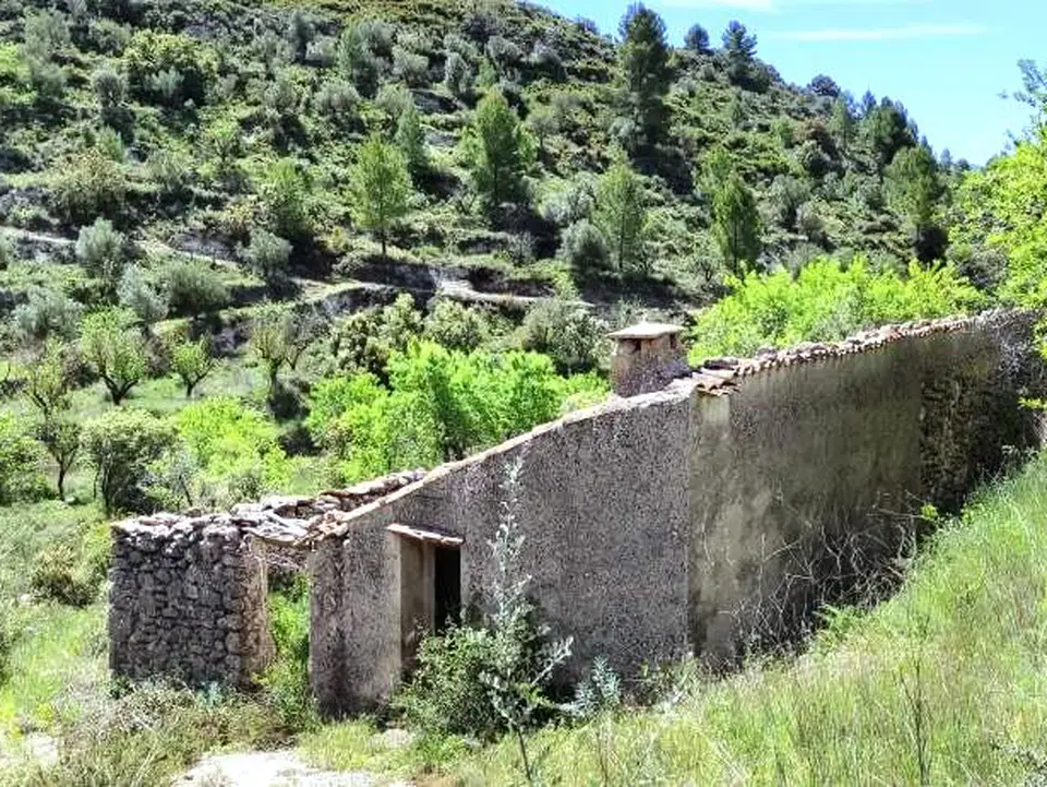 Finca in Benasau, Alicante province photo 5