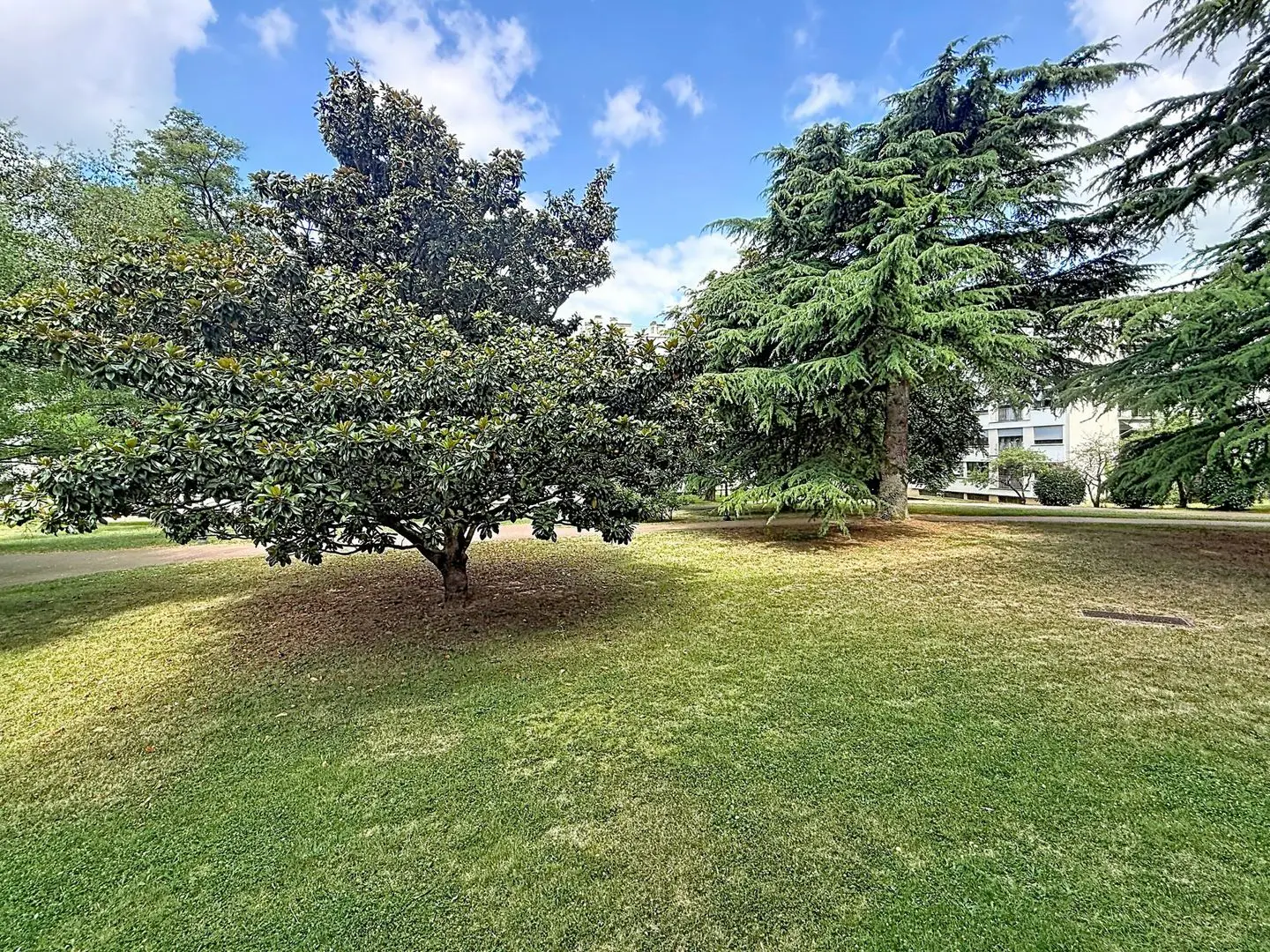 Apartment for sale in Chennevieres Sur Marne — 3 bedrooms, 74 m² photo 3
