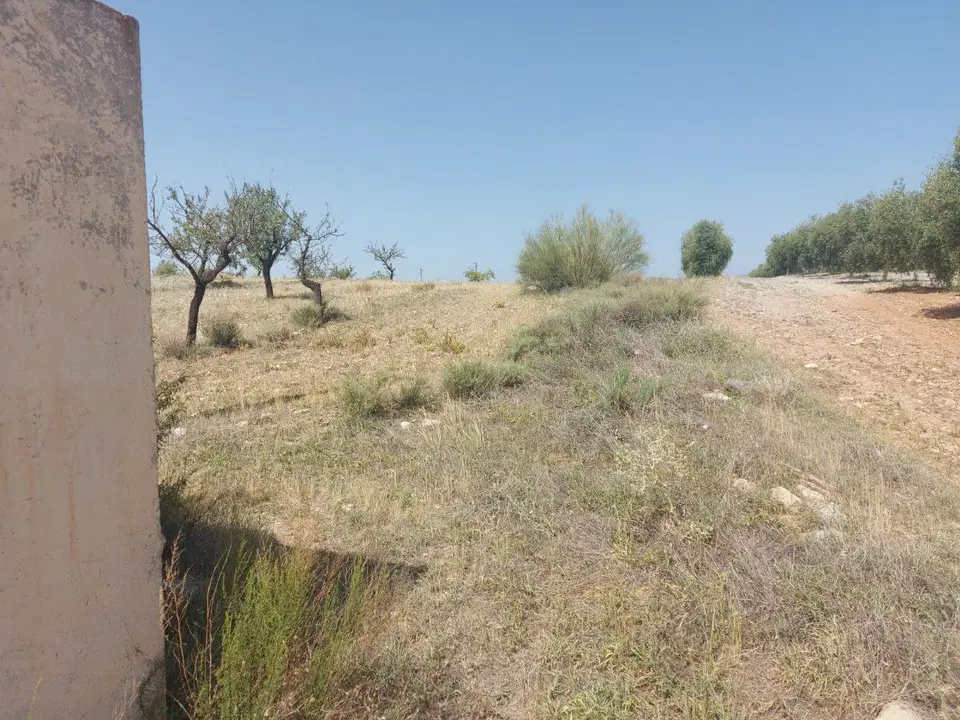 Cortijos Almeria photo 4