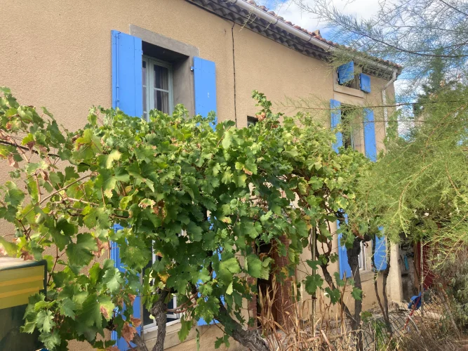 Typical Village of the Limoux Region, Winemaker's House to Renovate with photo 2