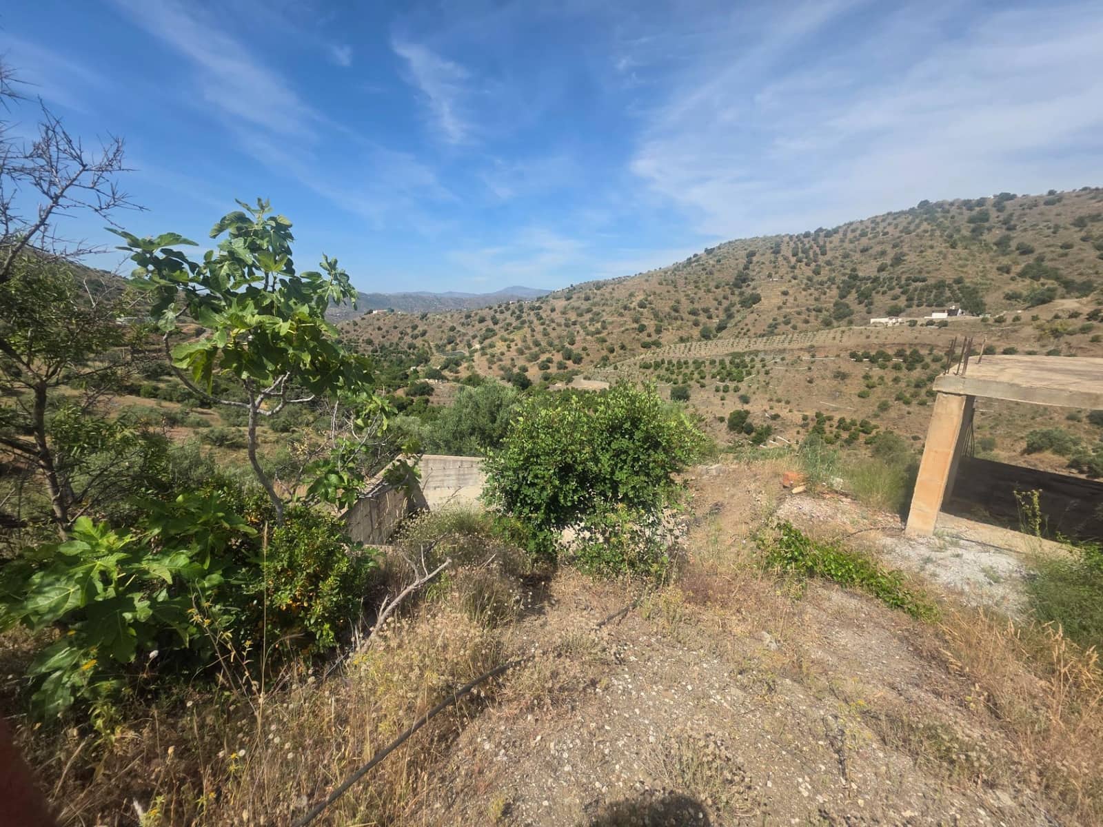 Finca/Country House for sale in Canillas de Aceituno, Málaga photo 3