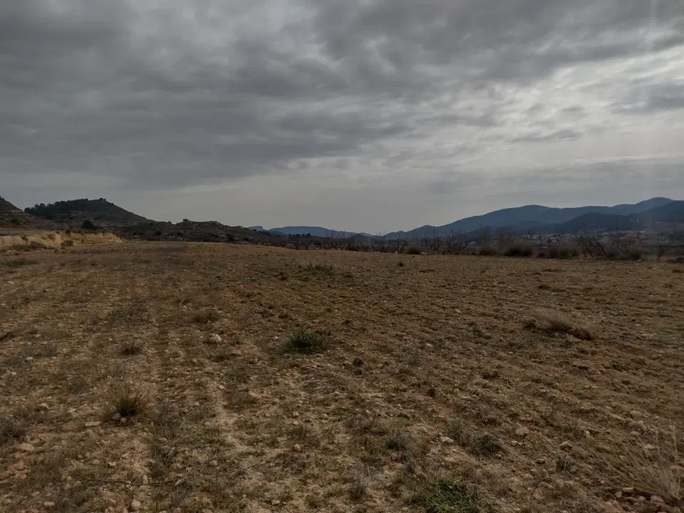 Country Fincas Pinoso S.L. photo 2