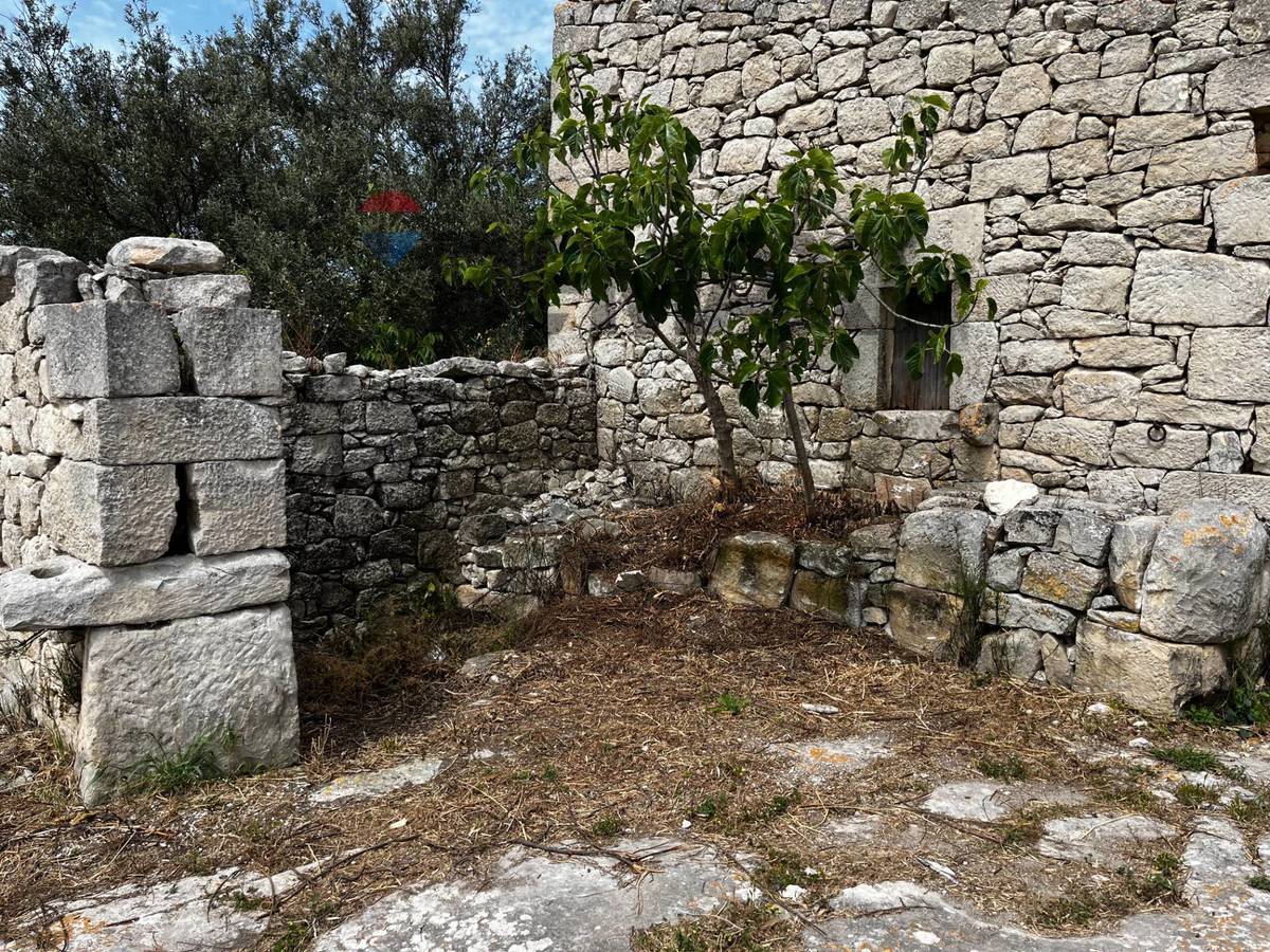 Property in Ragusa photo 5