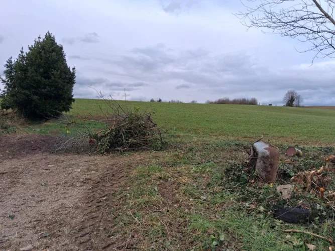 3 Bed House for Sale in Châteauneuf-la-Forêt photo 2
