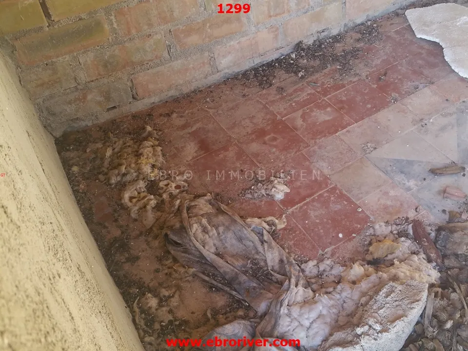 Ebro Real Estate Tortosa  photo 5