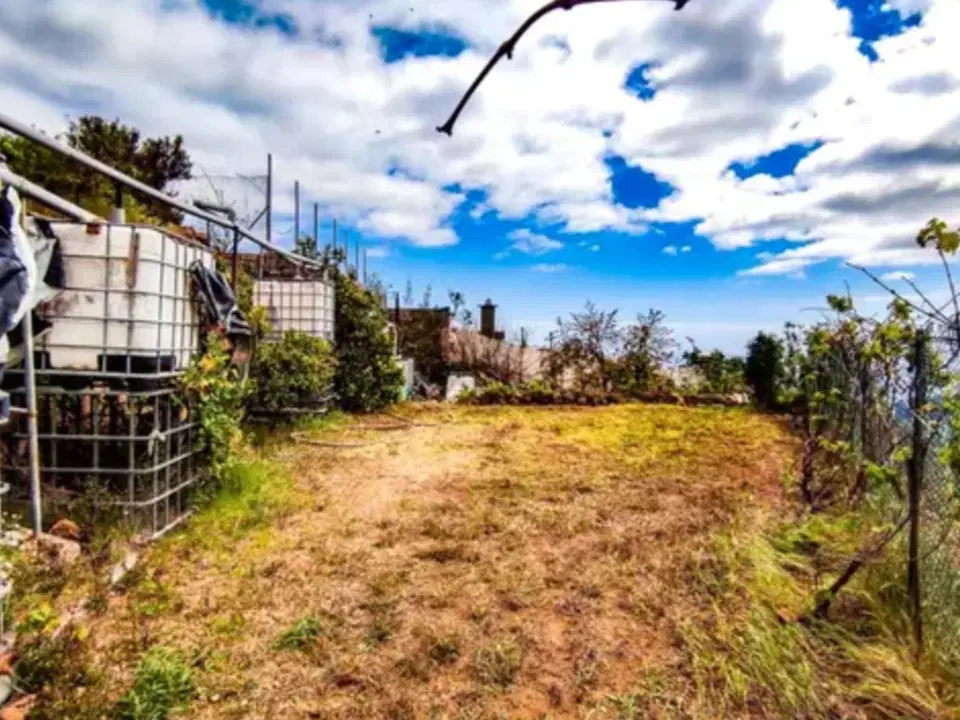 PRIME CASAS - Real Estate by Daniela