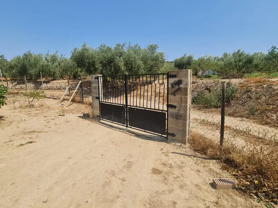 Country house in Riba-Roja D'ebre, Tarragona province photo 4