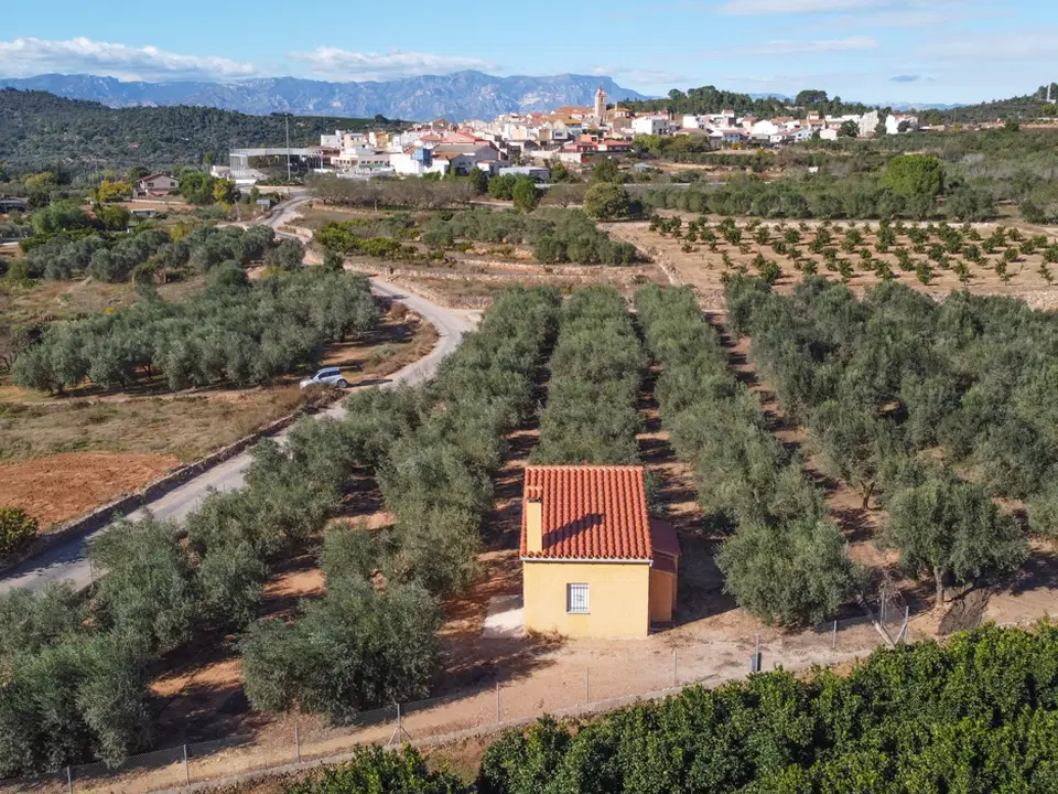 MAS CATALAN RURAL PROPERTIES S.L.U. photo 2