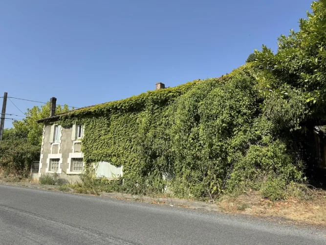 Cheap house with garden. Renovation project!