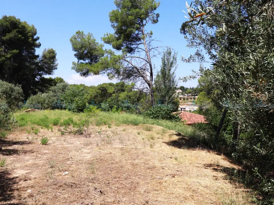 Dream'n Blue Properties photo 2