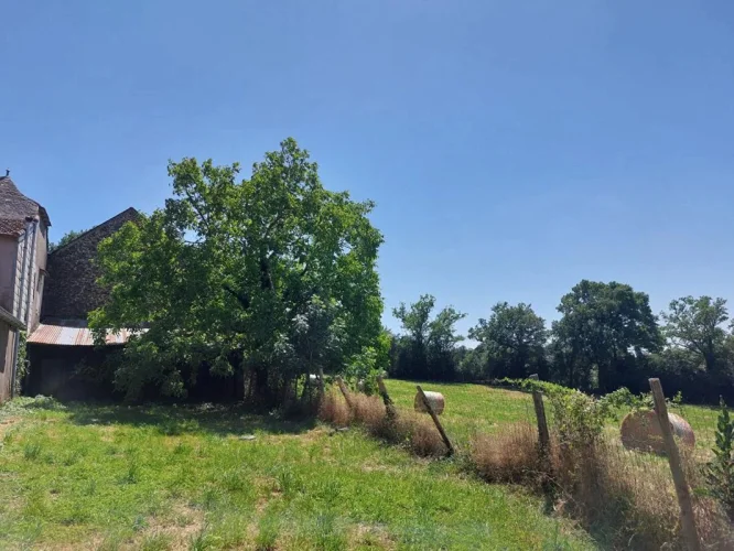 Lovely Old Farmhouse with out Buildings photo 4