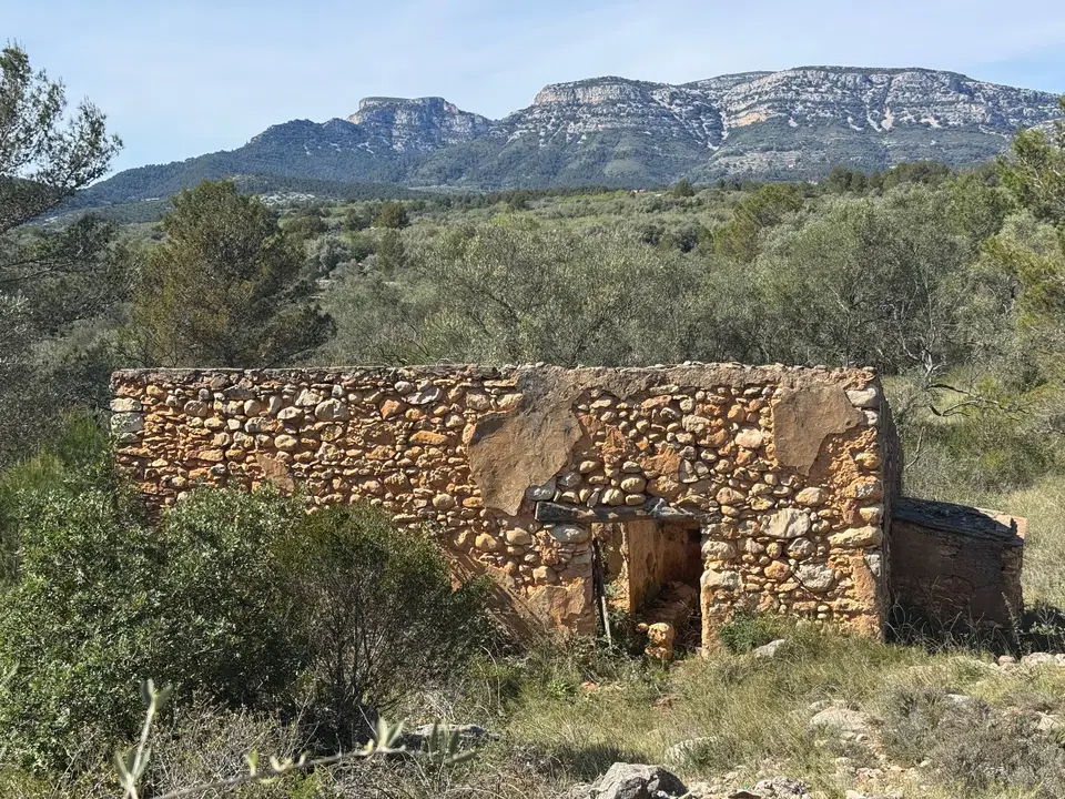 Beach Property in Spain photo 2