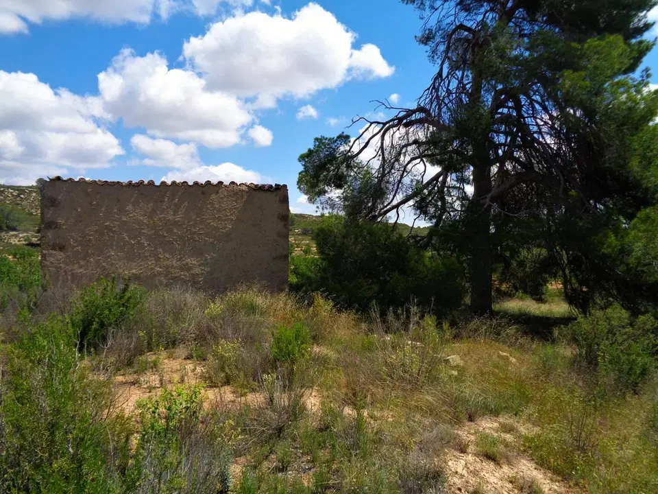 Finca in Maella, Zaragoza province photo 2