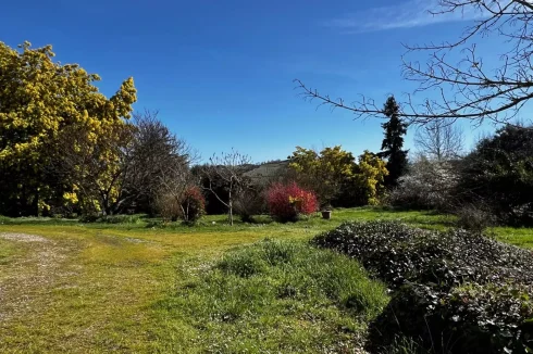 Character House Set in 1.24 Hectares of Wooded Grounds photo 2