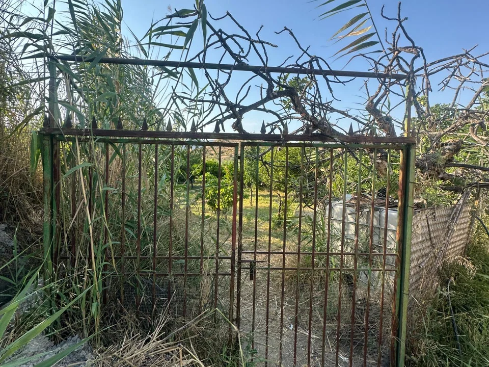Cortijo in Olula Del Rio, Almeria province photo 2