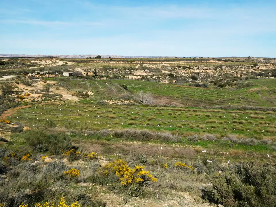 Finca in Caspe, Zaragoza province photo 4